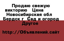Продаю свежую викторию › Цена ­ 250 - Новосибирская обл., Бердск г. Сад и огород » Другое   